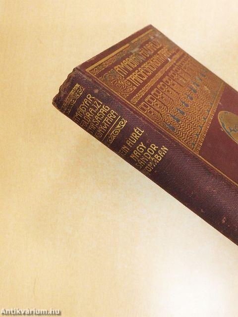 Nagy Sándor nyomában Indiába