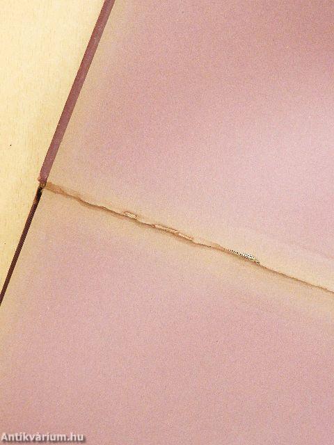 Ősi ösvényeken Ázsiában I-II.