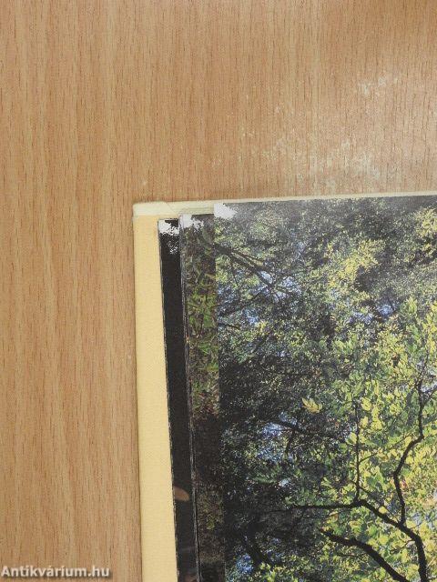 The Great Smoky Mountains