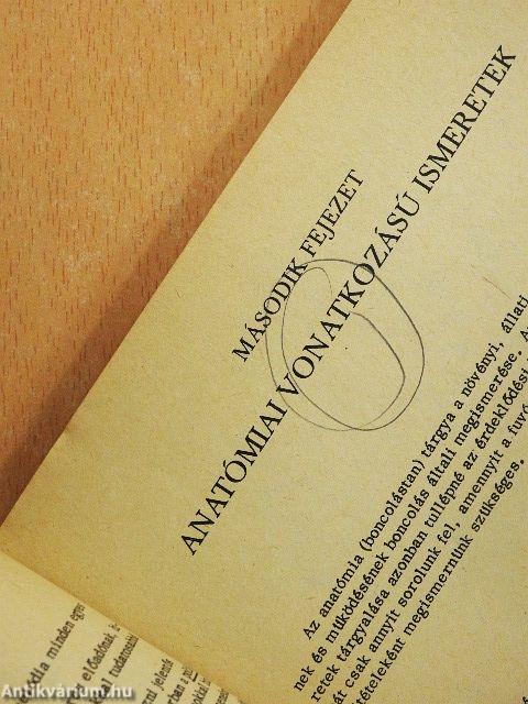 Fafúvós hangszerek tanításának módszertana