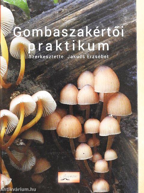 Gombaszakértői praktikum