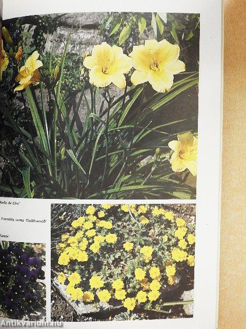 Miniatűr sziklakertek