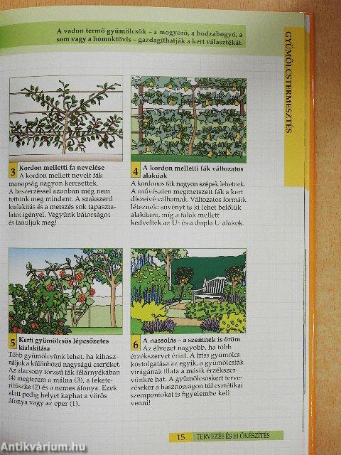 Zöldségek és gyümölcsök