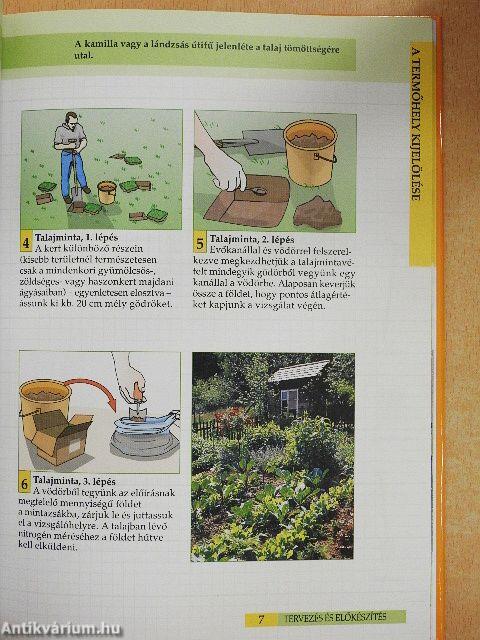 Zöldségek és gyümölcsök