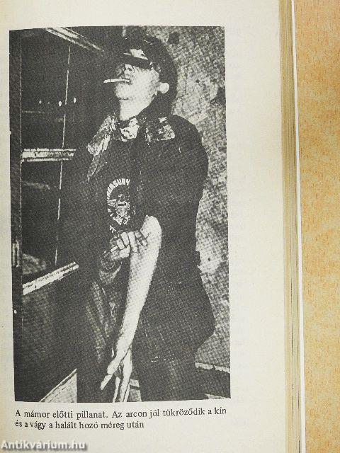 A kábítószerek világa