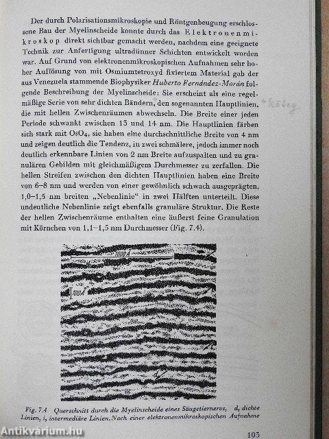 An der Basis des Lebens