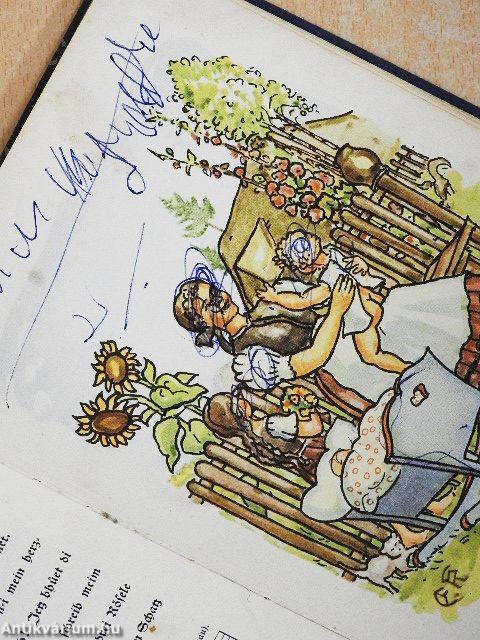 Alemannisches Liederbuch (gótbetűs)