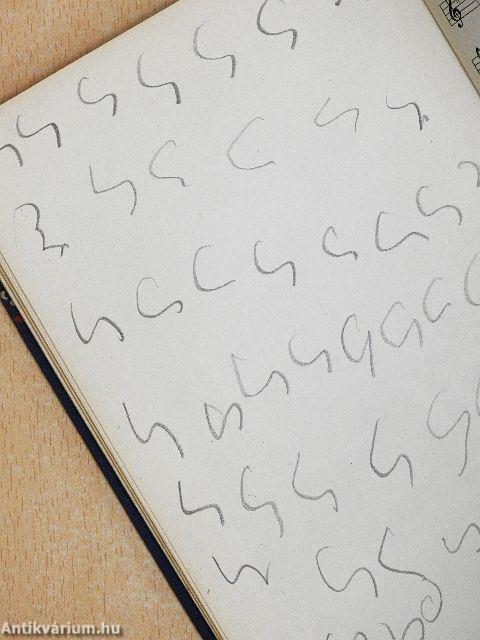 Alemannisches Liederbuch (gótbetűs)