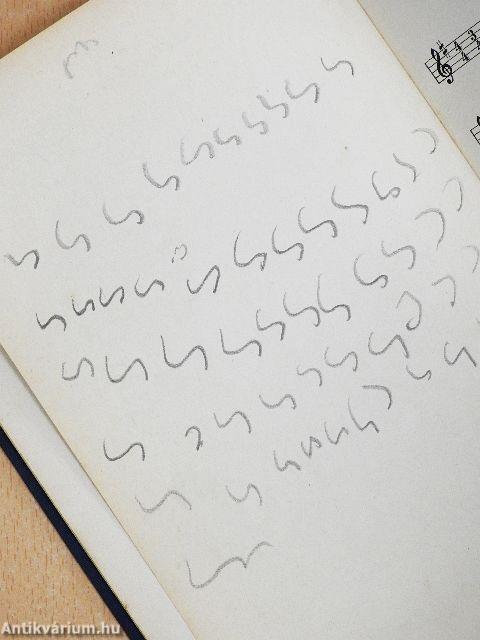 Alemannisches Liederbuch (gótbetűs)