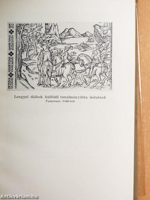 A lengyel irodalom története