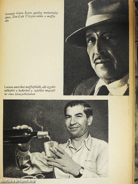 A Tiszteletreméltó Társaság