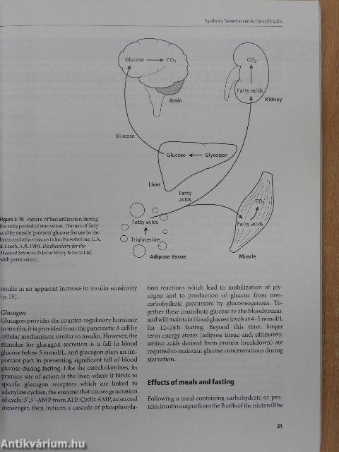 Diabetes and its Management