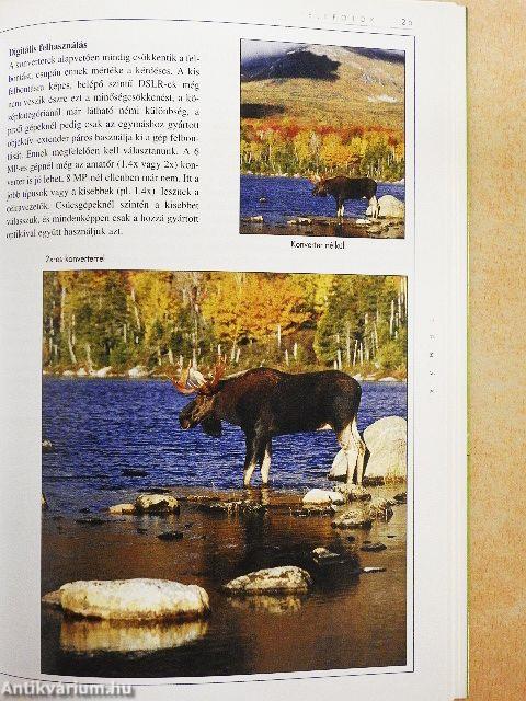 Természetfotózás digitális fényképezőgéppel