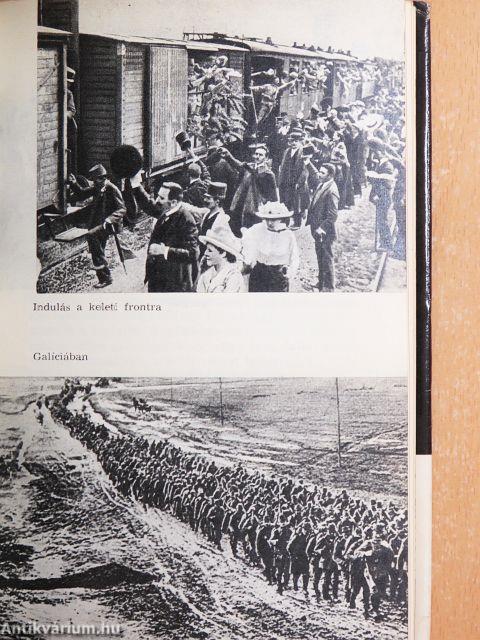 Négy év vasban és vérben (1914-1918)