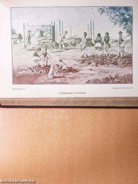 Természettudományi Közlöny 1899. január-december