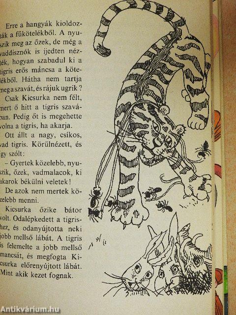 Mackókirály és Kicsurka őzike