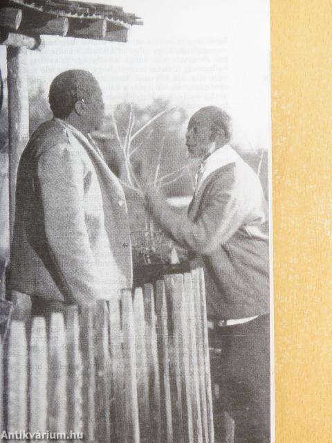 Tamás bátya kunyhója