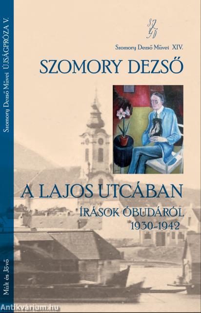 A Lajos ujtcában