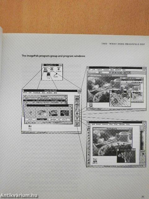 Working with ImagePals