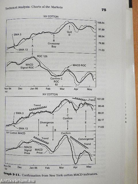 The Speculative Strategist