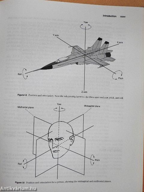The Design of Virtual Environments