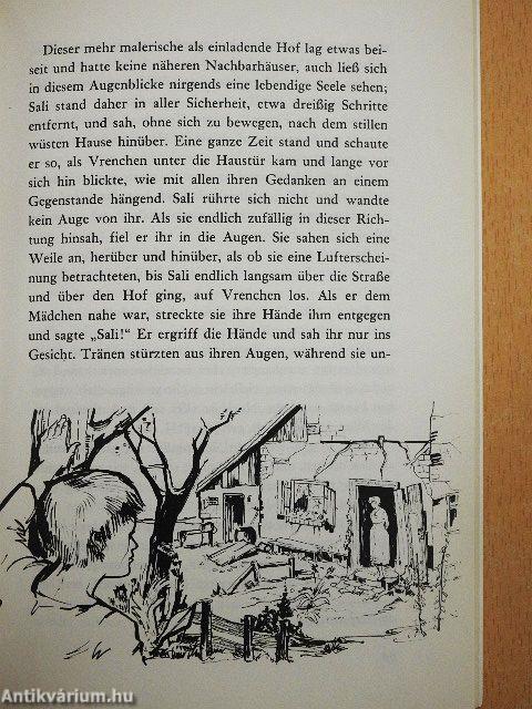 Romeo und Julia auf dem Dorfe