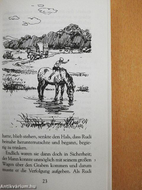 Lotte soll nicht sterben