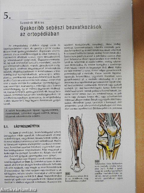 Az ortopédia tankönyve