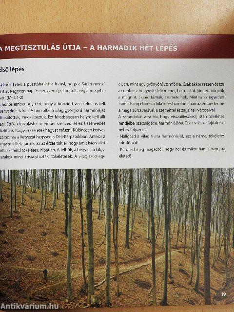 Mária út - A zarándok belső útja