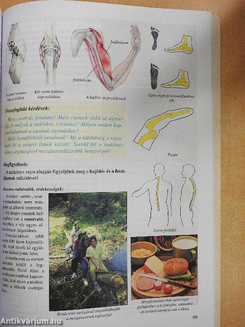 Természetismeret 4. osztály