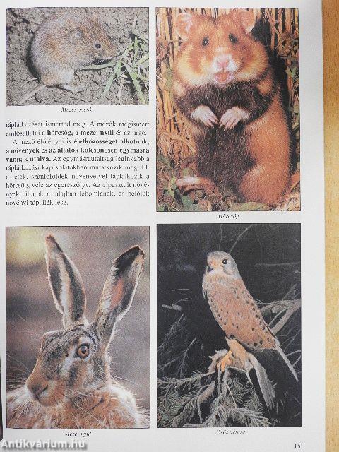 Természetismeret 4. osztály