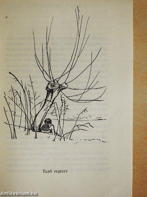 És mégis őrizetlenül