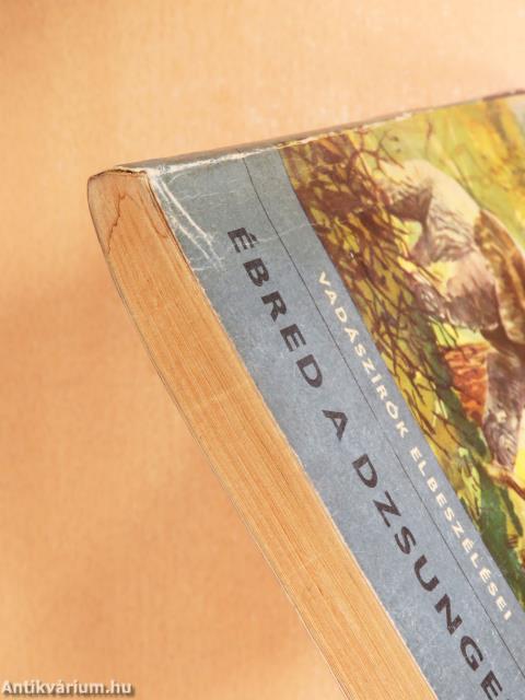 "55 kötet a Delfin könyvek sorozatból (nem teljes sorozat)"