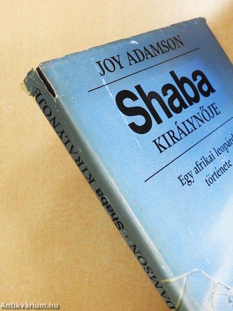Shaba királynője