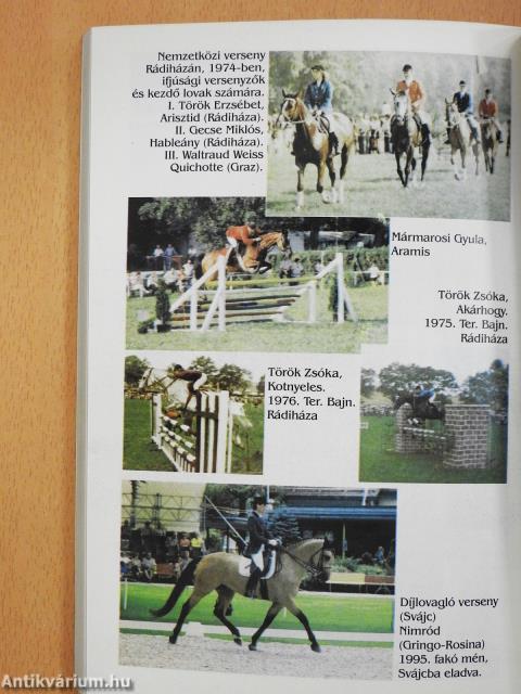 A rádiházi ménes története (dedikált példány)