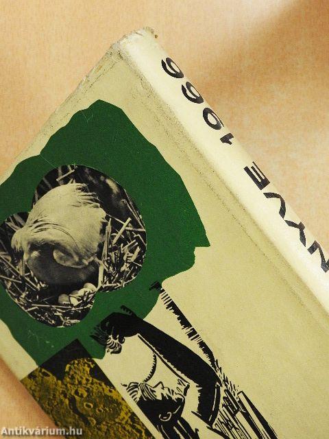 Fiúk Évkönyve 1966