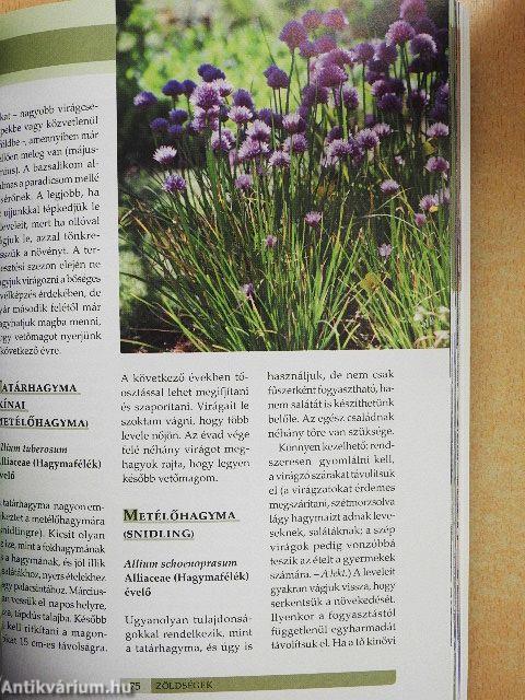 Gazdag termés a kiskertből