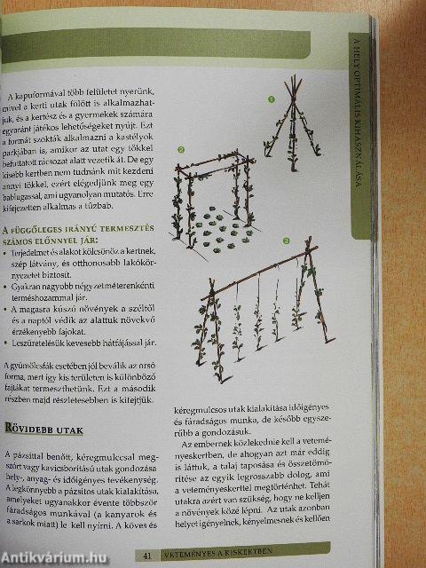 Gazdag termés a kiskertből