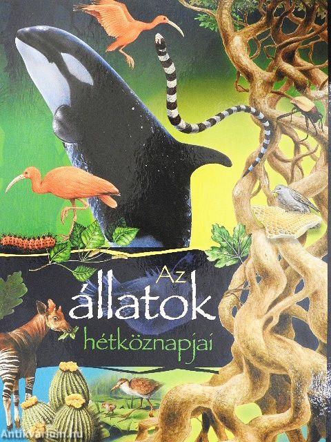 Az állatok hétköznapjai