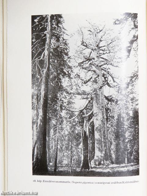 A természettudomány legújabb állomásai