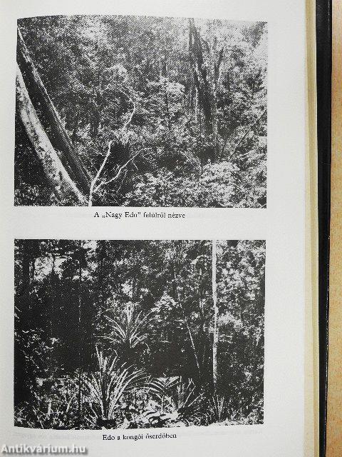 Afrikai vadászkönyv