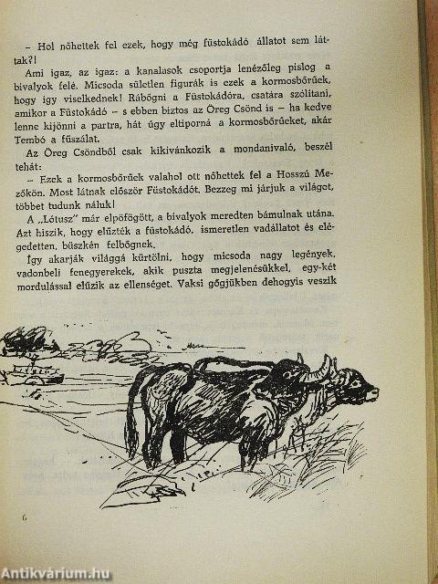 Afrikából jöttek...