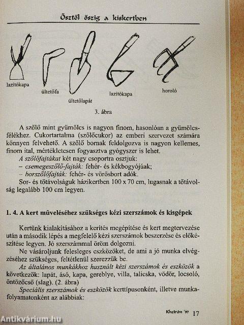 Ősztől őszig a kiskertben
