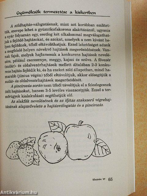 Gyümölcsök termesztése a kiskertben