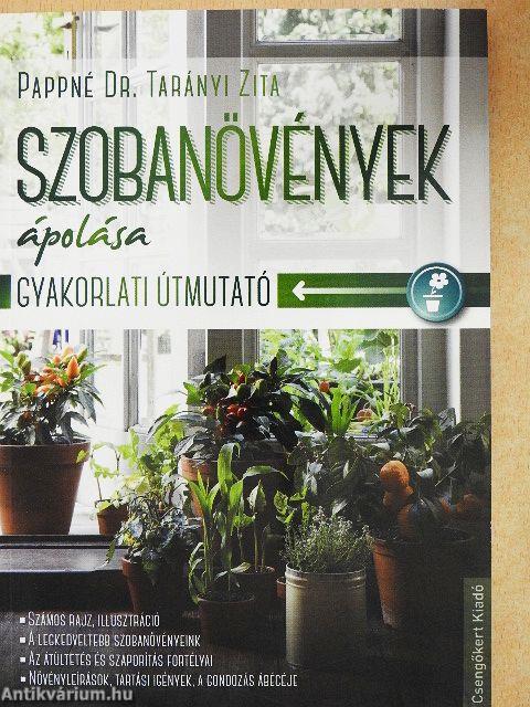 Szobanövények ápolása