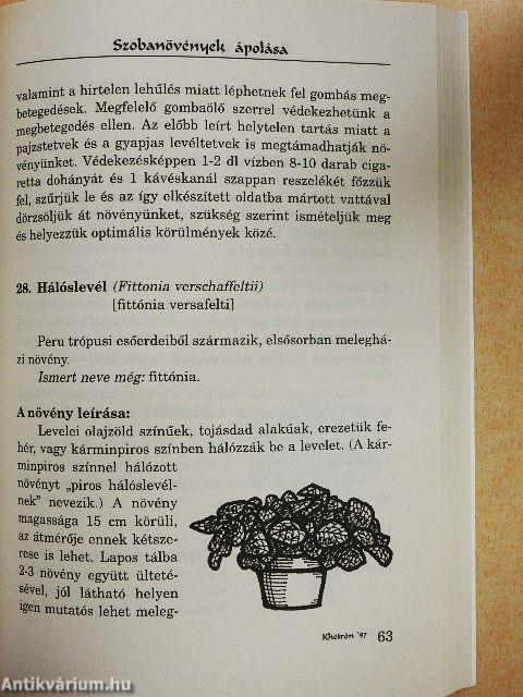 Szobanövények ápolása