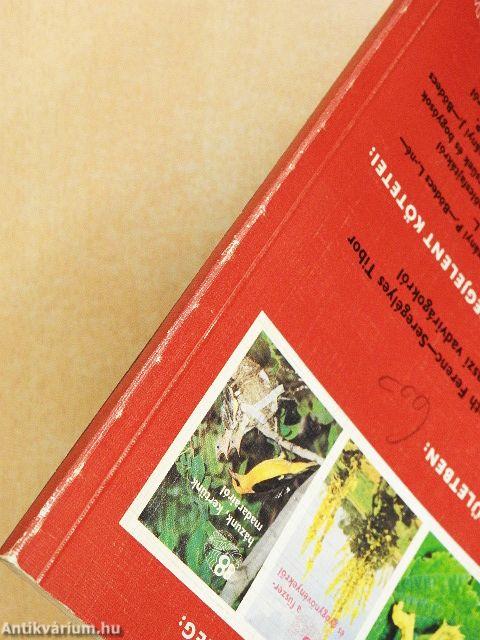 88 színes oldal az örökzöldekről és a fenyőkről