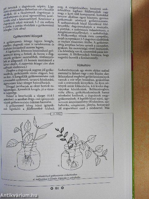 A növényszaporítás ábécéje