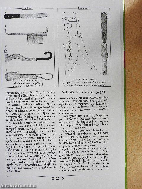 A növényszaporítás ábécéje