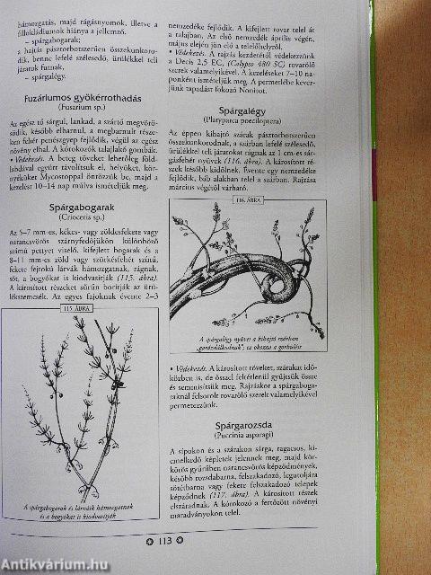 A növényvédelem ábécéje